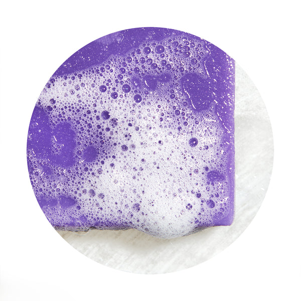 Lavender Rich Shampoo Bar | Shampoo Bar | NTRL by Sabs